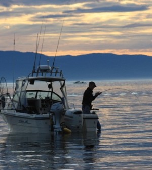 Coho salmon diver and Brads cut plug rig – Gone Fishing Northwest