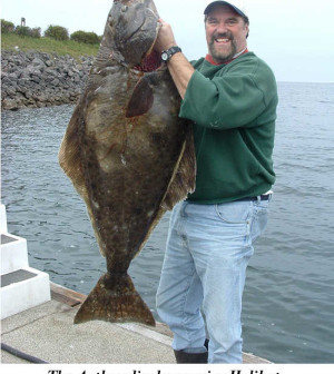 Finding and Fishing Halibut Humps – Salmon University
