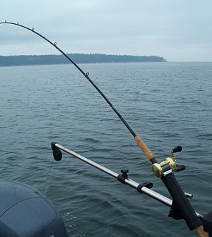 Downrigger Trolling Setup Diagram  Fishing tips, Fishing rigs, Setup