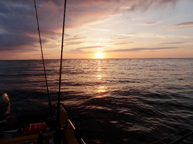 nootka sound fishing report 2016