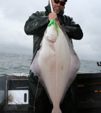 It’s Almost Halibut Time!