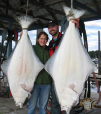 What color for halibut?