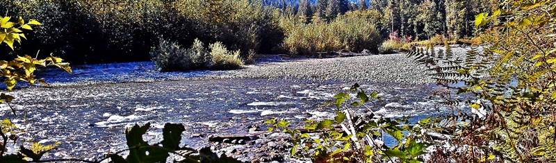 The Suiattle is among a number of Washington rivers ordered closed under emergency regulations.