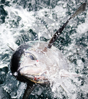 Tuna fishing in Oregon  Oregon Department of Fish & Wildlife