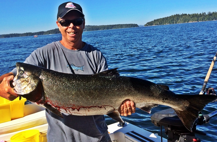 Doug of Slivers Chartes Salmon Sport Fishing with 31 pound Chinook landed by guests outside the Bamfield Harbor Mouth