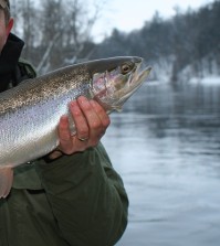 Freshwater Winter Fishing Tips