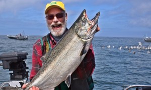 David Mudd trolled past feeding birds to take this nice Westport chinook. Note the birds to his right and another angler hooking in the background to his left.