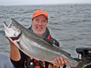 The author was approaching a large flock of feeding birds when he hooked up on this Westport king, his last saltwater chinook of the 2015 season. (Bob Gibbons photo) 