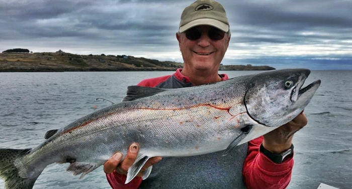 Jim Weaver with a nice Chinook. Came up loaded with candlefish. Lack of bait hasn't been a problem in MA 7.