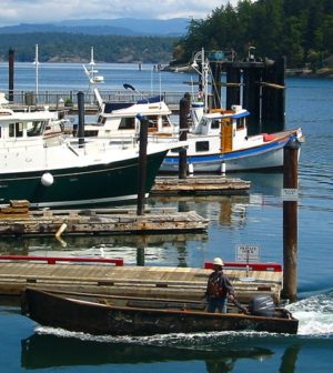 Friday Harbor Classic to Donate $10K to Salmon for ...