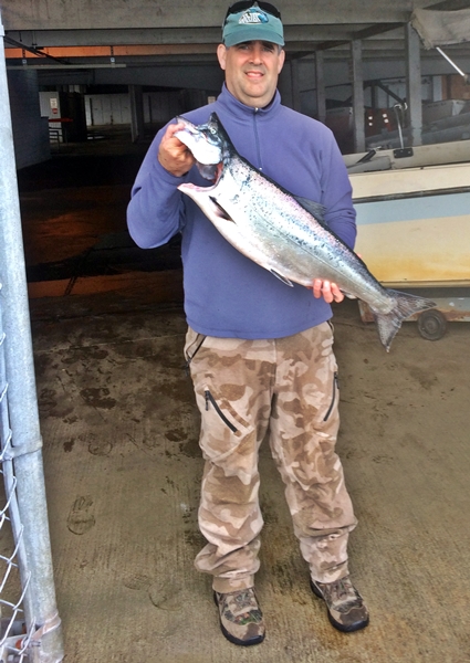 Bill Combs caught a 13 pound 13 ounce blackmouth salmon in Area 13 trolling 10 feet off the bottom with flasher and squid.