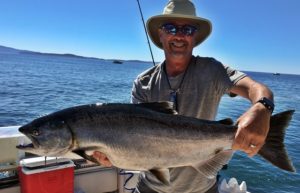Charly from Arizona land this beautiful Chinook fishing the waters of Barkley Sound in very late August. Fish was landed using anchovy.