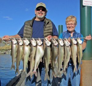 Guide in training, Shawn Murphy of Chelan with his and Jeff's morning catch of Chelan Kokanee and Cutthroat. 