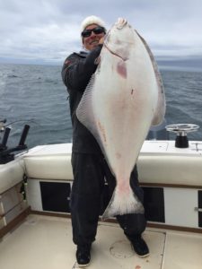 Jason with a beauty 55lb halibut in the southern Gulf Islands 