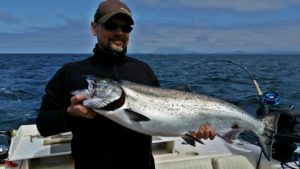 Chinook salmon landed in May outside of the Ucluelet Harbor on the Turtle Head. This fish hit a green nickel coyote spoon.