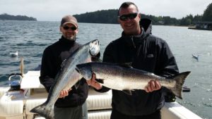 These salmon were landed on lighthouse bank and long beach. Guide Alan had guests using needle fish hootchies