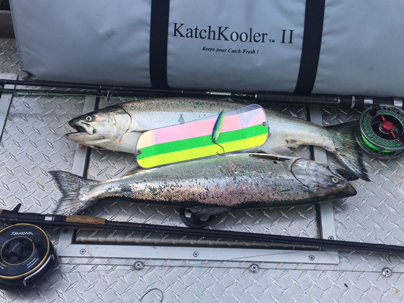 Fishing Reports for January 16 – Salmon University